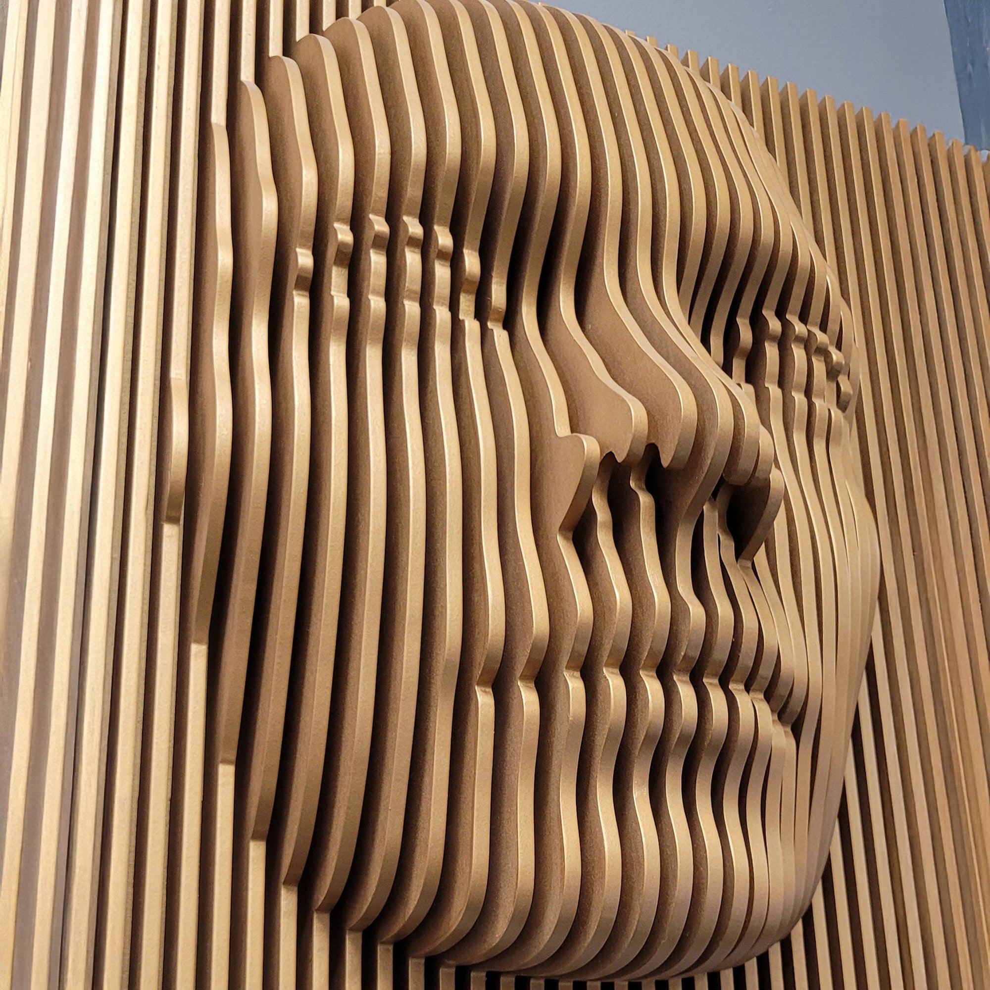3D Human Face Wall Sculpture ( 1/2" Thick )  3D Wall Art.